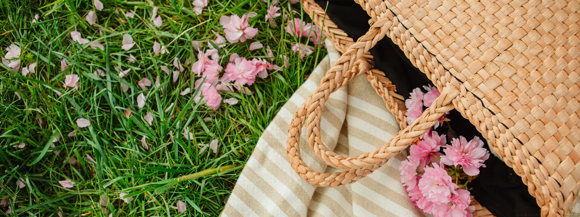 Picnic bag on blanket and grass